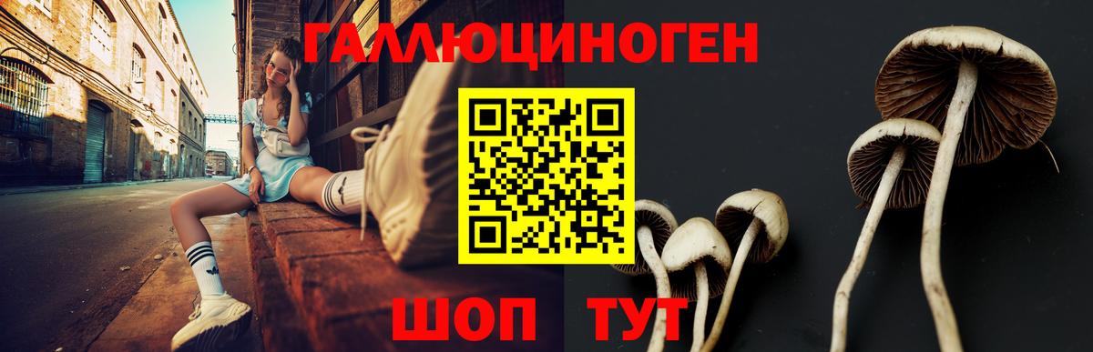 Горно-Алтайск  Галлюциногенные грибы MAGIC MUSHROOMS  где найти наркотики  Вход с VPN 